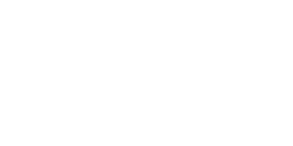 Visa partner logo
